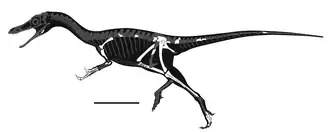 popis obrázku chybí