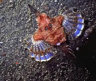 alternativní popis obrázku chybí