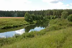 řeka u vesnice Mikulino