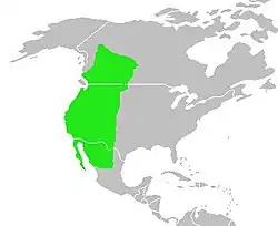 Areál rozšíření (zeleně)