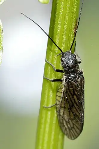 alternativní popis obrázku chybí