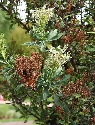 alternativní popis obrázku chybí