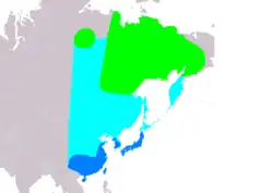 Rozšíření čírky sibiřské