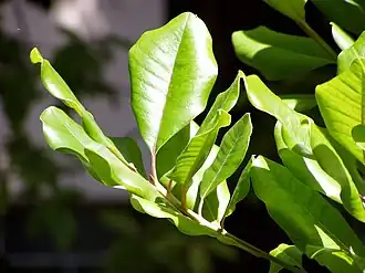 alternativní popis obrázku chybí