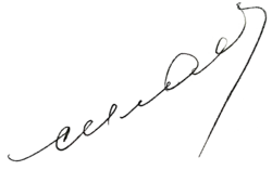 Ivan Stěpanovič Silajev – podpis