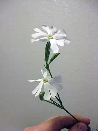 alternativní popis obrázku chybí