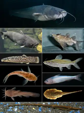 alternativní popis obrázku chybí