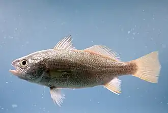 alternativní popis obrázku chybí