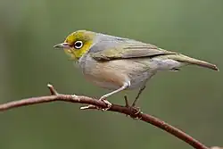 alternativní popis obrázku chybí