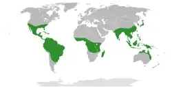 přirozené rozšíření čeledi