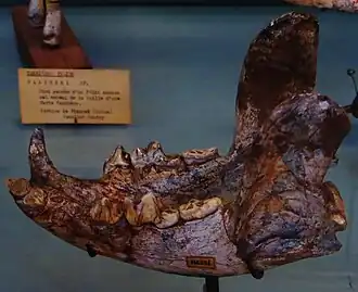 alternativní popis obrázku chybí