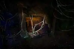 Šimon Pikous: Fotografie z cyklu Die Walküre