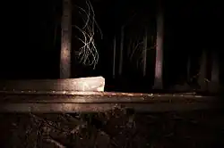 Šimon Pikous: Fotografie z cyklu Die Walküre