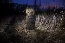 Šimon Pikous: Fotografie z cyklu Die Walküre