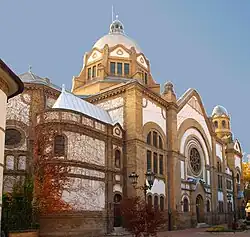Novosadská synagoga