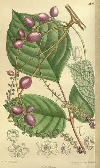 alternativní popis obrázku chybí