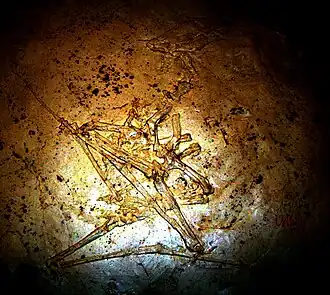 alternativní popis obrázku chybí