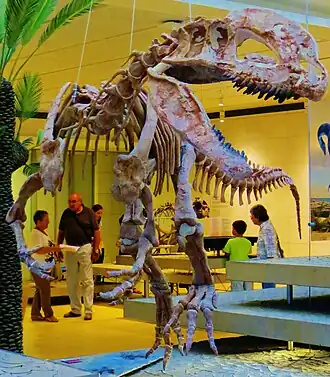 alternativní popis obrázku chybí