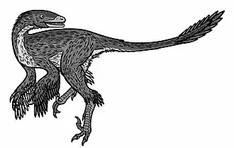 popis obrázku chybí