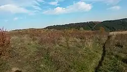 Šipáková doubrava v severní části údolí