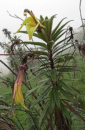 alternativní popis obrázku chybí