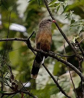 alternativní popis obrázku chybí