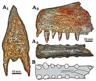 alternativní popis obrázku chybí