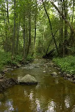 Širvinta několik km před soutokem s řekou Dotamas