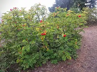 alternativní popis obrázku chybí