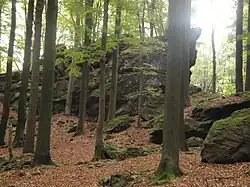 Skála Baba v přírodní rezervaci Baba - V Bukách v Arnoleckých horách