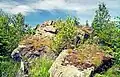 Skály na úbočí kopce Wołek