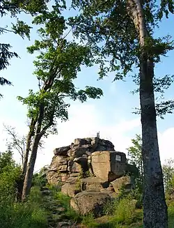 Vrchol hory Nebelstein s přírodní rozhlednou na rakouské straně Novohradských hor