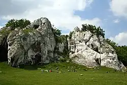 Okiennik Rzędkowicki a Słoneczna