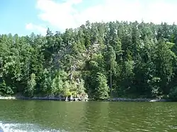 Přírodní rezervace Staré duby