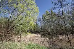 Přírodní památka Skalky u Hulína