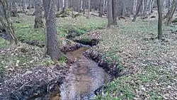 Potok zhruba 300 m nad přírodní rezervací.