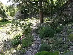 Stezka k záhonu čarověníků (stanoviště č. 2)