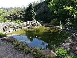 Jezírko, v pozadí paneláková výstavba (sídliště Barrandov)