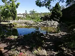 Jezírko (stanoviště č. 8)