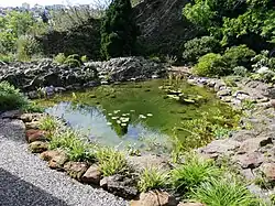 Jezírko, pohled od obytné budovy v zahradě