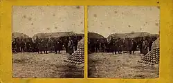 Stereo fotografie z německo-dánské války, Befestigungsanlagen, Dybbøl, 1864