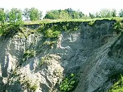 Skaudvilės atodanga