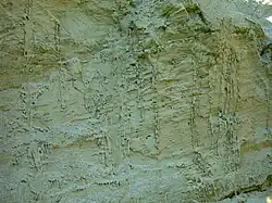 nátrž (atodanga, výchoz) u města Skaudvilė, 25 km od soutoku s Šešuvisem