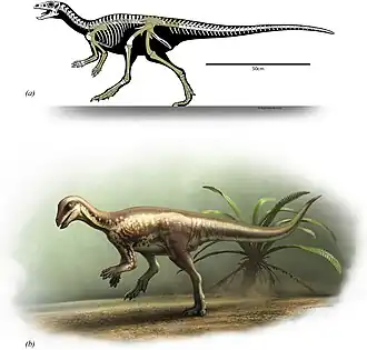 alternativní popis obrázku chybí