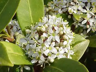 alternativní popis obrázku chybí