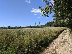 Sklenařice - prostor zaniklé sklářské huti (6).jpg