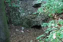 Pustý hrad u Sklených Teplic, 2011