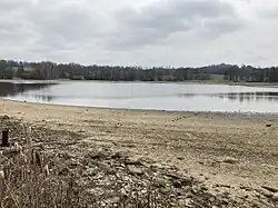 Vypuštěný rybník na jaře 2023