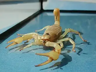 alternativní popis obrázku chybí