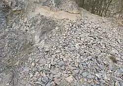 Výchoz kambrických hornin u Skryjí